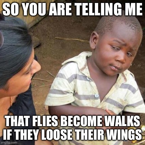 Third World Skeptical Kid | SO YOU ARE TELLING ME; THAT FLIES BECOME WALKS IF THEY LOOSE THEIR WINGS | image tagged in memes,third world skeptical kid | made w/ Imgflip meme maker