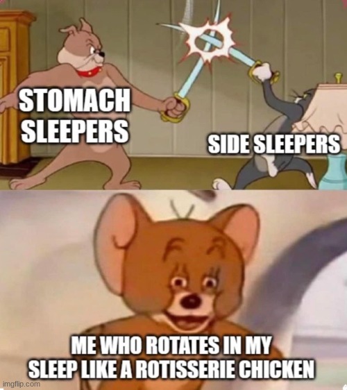 who else? | image tagged in tom and jerry swordfight | made w/ Imgflip meme maker