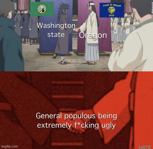 Stupid looking flags too (go Seahawks) | made w/ Imgflip meme maker