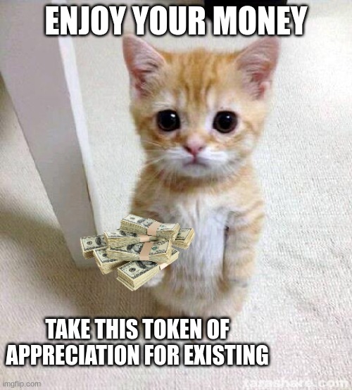 money | ENJOY YOUR MONEY; TAKE THIS TOKEN OF APPRECIATION FOR EXISTING | image tagged in memes,cute cat | made w/ Imgflip meme maker