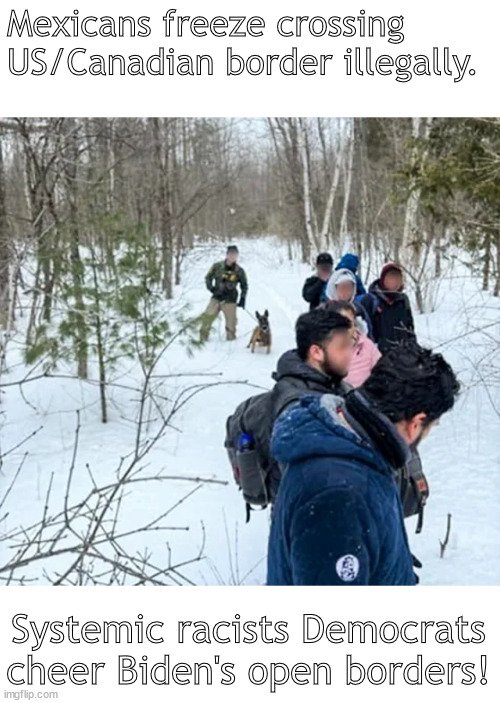 Death by Biden Regime continues unabated GOP does ZERO | Mexicans freeze crossing US/Canadian border illegally. Systemic racists Democrats cheer Biden's open borders! | image tagged in memes,politics | made w/ Imgflip meme maker