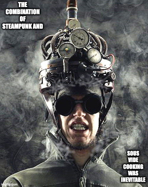 Brainwashing | THE COMBINATION OF STEAMPUNK AND; SOUS VIDE COOKING WAS INEVITABLE | image tagged in brainwashing,memes | made w/ Imgflip meme maker