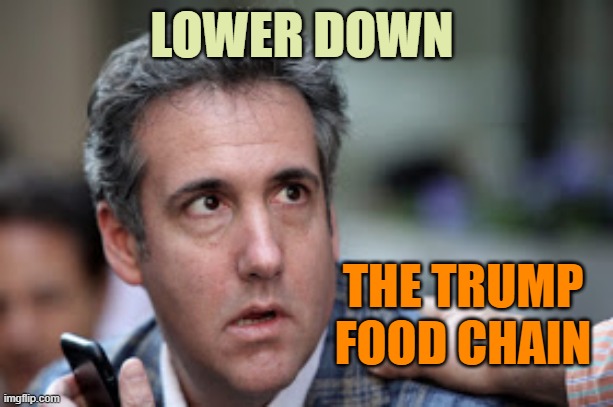 Michael Cohen looking stupid | LOWER DOWN THE TRUMP FOOD CHAIN | image tagged in michael cohen looking stupid | made w/ Imgflip meme maker