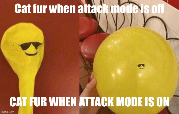 Cat when fur is puffy | Cat fur when attack mode is off; CAT FUR WHEN ATTACK MODE IS ON | image tagged in cat | made w/ Imgflip meme maker