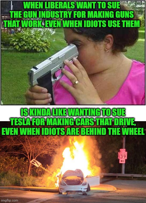 You can't stop stupid. After all, without it there wouldn't be such a thing as a democrat voter | WHEN LIBERALS WANT TO SUE THE GUN INDUSTRY FOR MAKING GUNS THAT WORK, EVEN WHEN IDIOTS USE THEM; IS KINDA LIKE WANTING TO SUE TESLA FOR MAKING CARS THAT DRIVE, EVEN WHEN IDIOTS ARE BEHIND THE WHEEL | image tagged in woman looking down gun barrel,tesla on fire,liberal hypocrisy,expectation vs reality,idiots,democrats | made w/ Imgflip meme maker