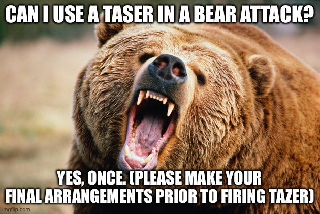 grizzly bear | CAN I USE A TASER IN A BEAR ATTACK? YES, ONCE. (PLEASE MAKE YOUR FINAL ARRANGEMENTS PRIOR TO FIRING TAZER) | image tagged in grizzly bear | made w/ Imgflip meme maker