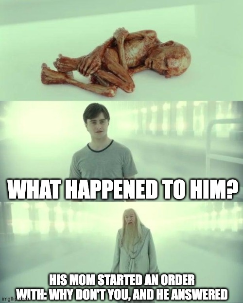 Ow | WHAT HAPPENED TO HIM? HIS MOM STARTED AN ORDER WITH: WHY DON'T YOU, AND HE ANSWERED | image tagged in dead baby voldemort / what happened to him,mother,mom,moms | made w/ Imgflip meme maker