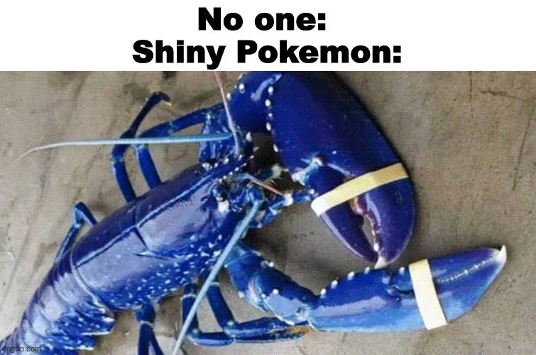 No one: 
Shiny Pokemon: | image tagged in pokemon meme | made w/ Imgflip meme maker