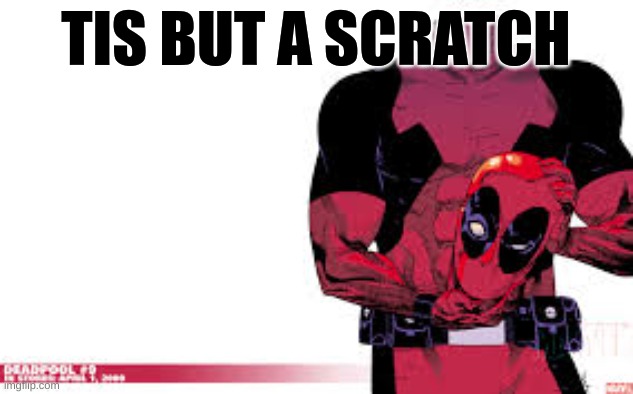 tis but a scratch | TIS BUT A SCRATCH | image tagged in deadpool | made w/ Imgflip meme maker