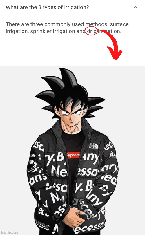 This is probably a fun stream level meme | image tagged in drip goku | made w/ Imgflip meme maker