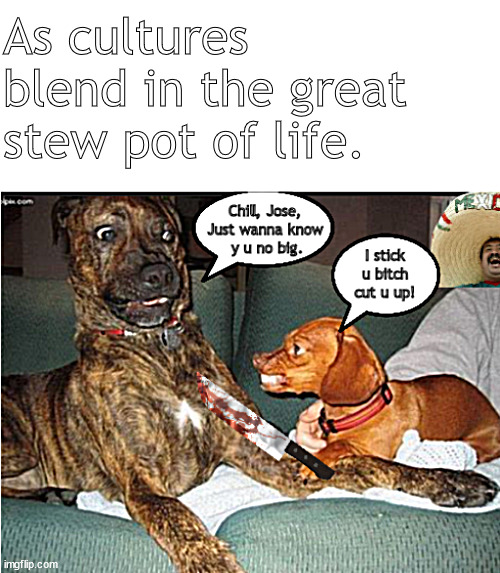 Life's pot of stew | As cultures blend in the great stew pot of life. | image tagged in memes,dark humor | made w/ Imgflip meme maker