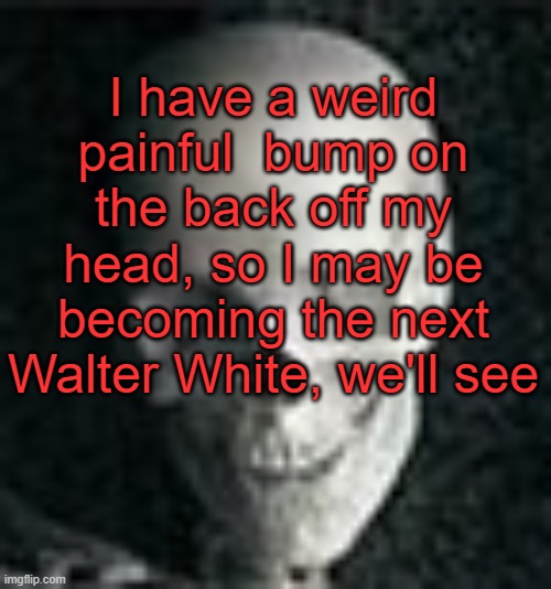 . | I have a weird painful  bump on the back off my head, so I may be becoming the next Walter White, we'll see | image tagged in skull | made w/ Imgflip meme maker