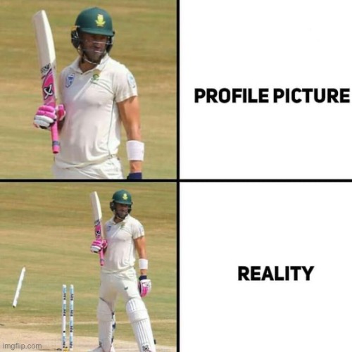 image tagged in cricket | made w/ Imgflip meme maker