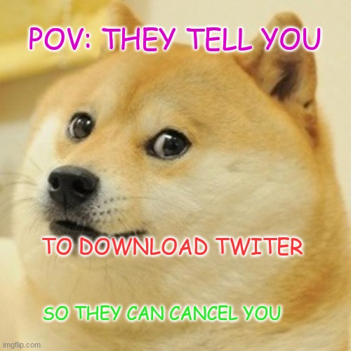 Doge | POV: THEY TELL YOU; TO DOWNLOAD TWITER; SO THEY CAN CANCEL YOU | image tagged in memes,doge | made w/ Imgflip meme maker