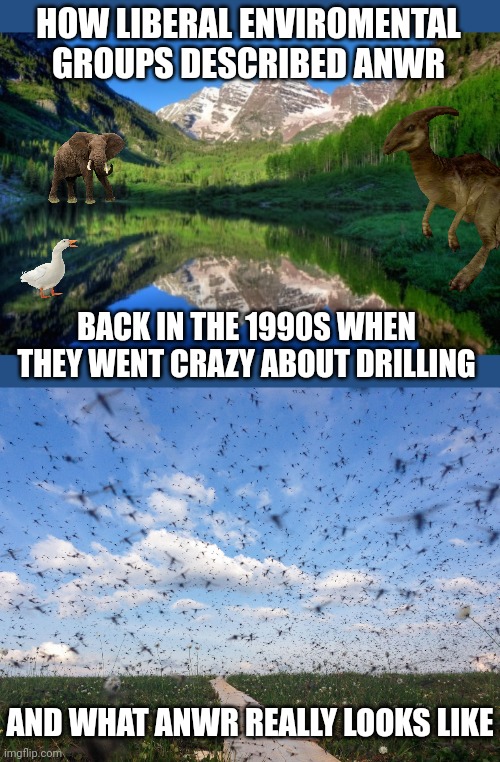 Since liberals are going nuts about Alaska drilling again, thought it'd be fun to recall their descriptions of ANWR 30 years | HOW LIBERAL ENVIROMENTAL GROUPS DESCRIBED ANWR; BACK IN THE 1990S WHEN THEY WENT CRAZY ABOUT DRILLING; AND WHAT ANWR REALLY LOOKS LIKE | image tagged in alaska,drill,oil,stupid liberals,reality check,disappointment | made w/ Imgflip meme maker