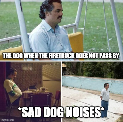 Dogs having bad days | THE DOG WHEN THE FIRETRUCK DOES NOT PASS BY; *SAD DOG NOISES* | image tagged in memes,sad pablo escobar | made w/ Imgflip meme maker