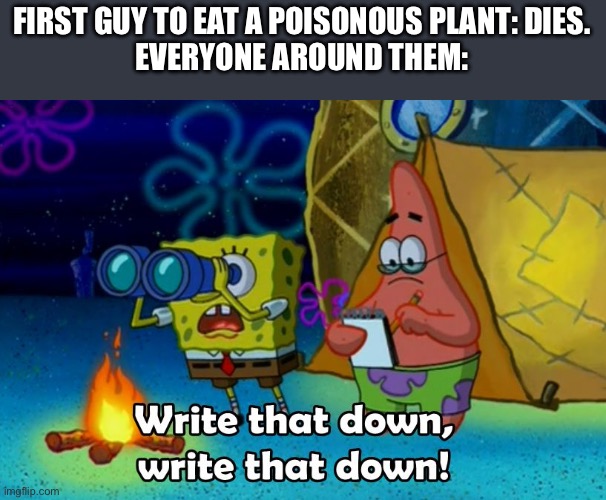 write that down | FIRST GUY TO EAT A POISONOUS PLANT: DIES.
EVERYONE AROUND THEM: | image tagged in write that down | made w/ Imgflip meme maker