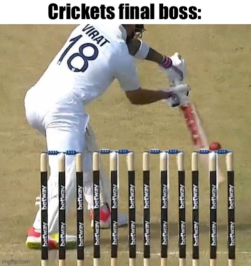 the poles are the final boss not the guy | Crickets final boss: | image tagged in cricket | made w/ Imgflip meme maker