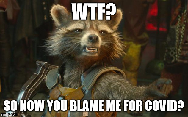 Blame Rocket | WTF? SO NOW YOU BLAME ME FOR COVID? | image tagged in rocket racoon | made w/ Imgflip meme maker