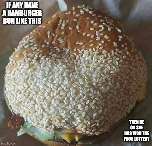 Bun Oversaturated With Sesame Seeds | IF ANY HAVE A HAMBURGER BUN LIKE THIS; THEN HE OR SHE HAS WON THE FOOD LOTTERY | image tagged in food,buns,memes | made w/ Imgflip meme maker