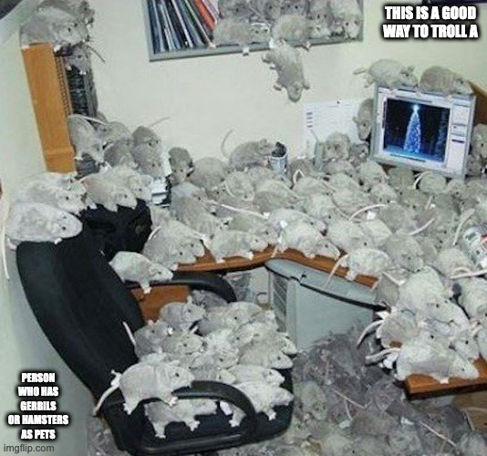 Computer Desks Full of Rodent Plushes | THIS IS A GOOD WAY TO TROLL A; PERSON WHO HAS GERBILS OR HAMSTERS AS PETS | image tagged in plush,computer,memes | made w/ Imgflip meme maker