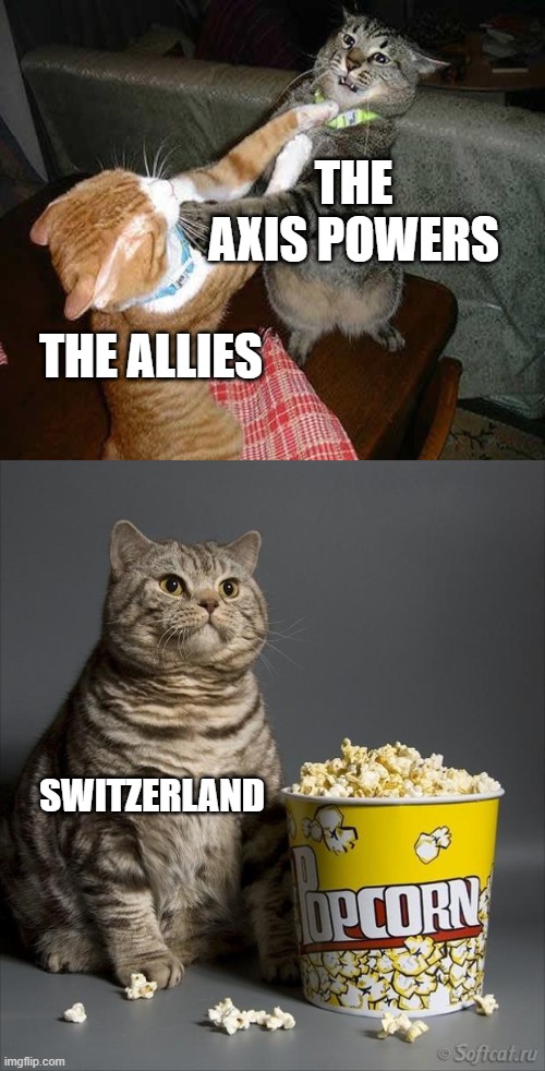 european ww2 lore: | THE AXIS POWERS; THE ALLIES; SWITZERLAND | image tagged in cat watching other cats fight,ww2,historical meme | made w/ Imgflip meme maker