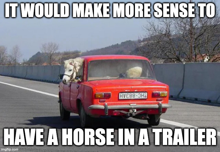 Horse Inside Car | IT WOULD MAKE MORE SENSE TO; HAVE A HORSE IN A TRAILER | image tagged in cars,horse,memes | made w/ Imgflip meme maker