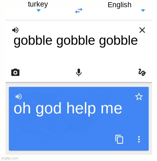 Google Translate | turkey; English; gobble gobble gobble; oh god help me | image tagged in google translate | made w/ Imgflip meme maker