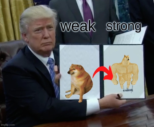 how life works | strong; weak | image tagged in memes,trump bill signing | made w/ Imgflip meme maker