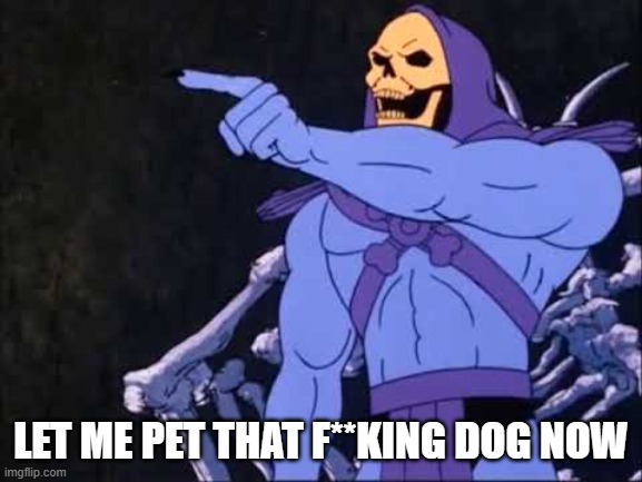 Skeletor | LET ME PET THAT F**KING DOG NOW | image tagged in skeletor | made w/ Imgflip meme maker