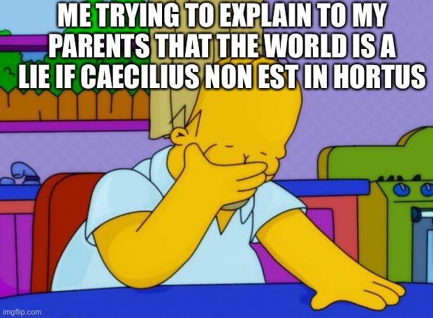 Caecilius non est in hortus | ME TRYING TO EXPLAIN TO MY PARENTS THAT THE WORLD IS A LIE IF CAECILIUS NON EST IN HORTUS | image tagged in smh homer | made w/ Imgflip meme maker