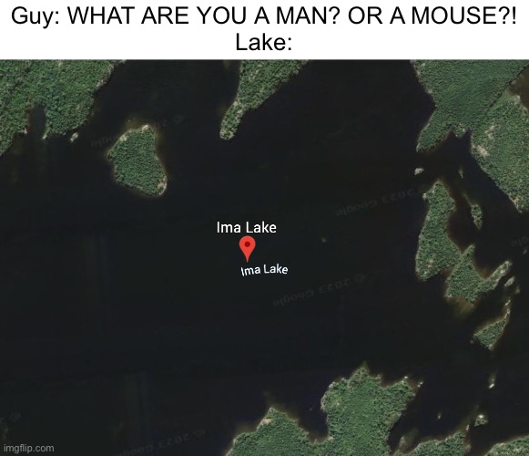 What | Guy: WHAT ARE YOU A MAN? OR A MOUSE?!
Lake: | image tagged in google earth | made w/ Imgflip meme maker