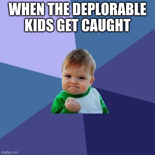 Success Kid Meme | WHEN THE DEPLORABLE KIDS GET CAUGHT | image tagged in memes,success kid | made w/ Imgflip meme maker