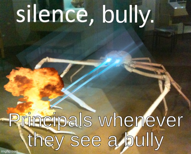 Once again, lesson learned! | bully. Principals whenever they see a bully | image tagged in silence crab | made w/ Imgflip meme maker