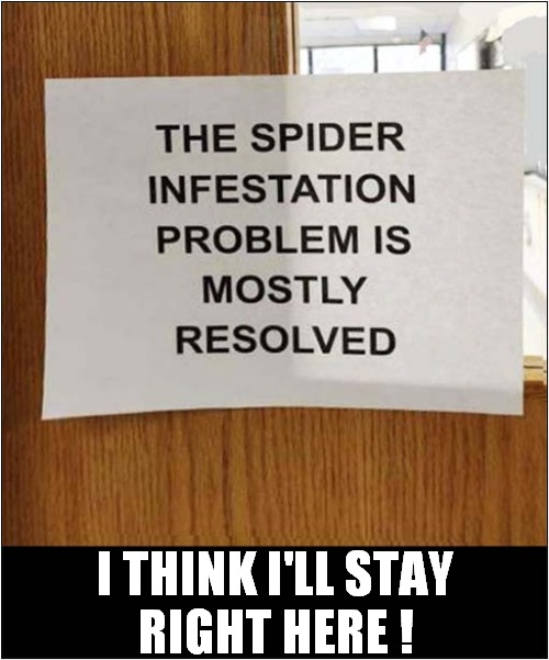 Warning Spiders ! | I THINK I'LL STAY
RIGHT HERE ! | image tagged in warning sign,spiders | made w/ Imgflip meme maker