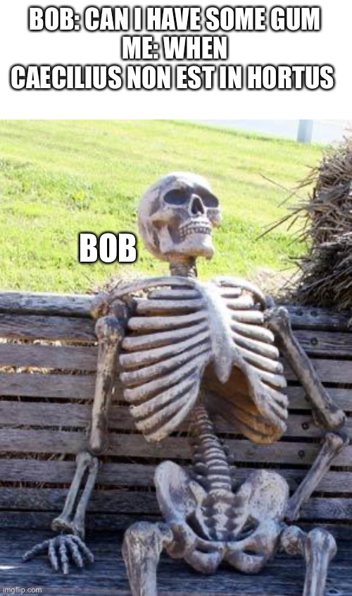 Caecilius est in hortus | BOB: CAN I HAVE SOME GUM
ME: WHEN CAECILIUS NON EST IN HORTUS; BOB | image tagged in memes,waiting skeleton | made w/ Imgflip meme maker