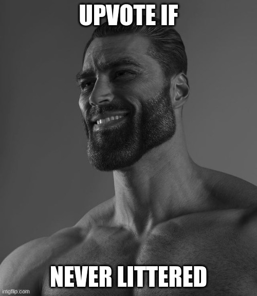 Giga Chad | UPVOTE IF; NEVER LITTERED | image tagged in giga chad | made w/ Imgflip meme maker