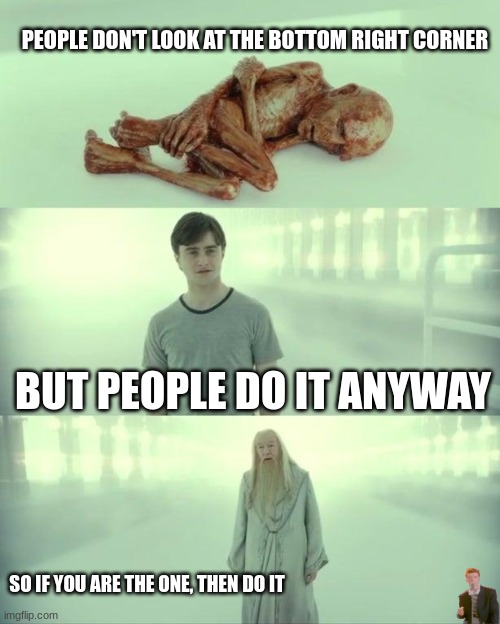 do look at the bottom right corner | PEOPLE DON'T LOOK AT THE BOTTOM RIGHT CORNER; BUT PEOPLE DO IT ANYWAY; SO IF YOU ARE THE ONE, THEN DO IT | image tagged in dead baby voldemort / what happened to him | made w/ Imgflip meme maker