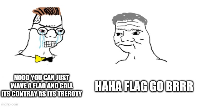 flags | NOOO YOU CAN JUST WAVE A FLAG AND CALL ITS CONTRAY AS ITS TREROTY; HAHA FLAG GO BRRR | image tagged in nooo haha go brrr,flag meme | made w/ Imgflip meme maker