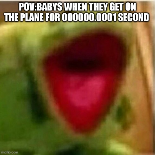 AHHHHHHHHHHHHH | POV:BABYS WHEN THEY GET ON THE PLANE FOR OOOOOO.OOO1 SECOND | image tagged in ahhhhhhhhhhhhh | made w/ Imgflip meme maker