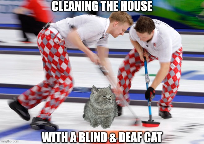 curling  | CLEANING THE HOUSE; WITH A BLIND & DEAF CAT | image tagged in curling | made w/ Imgflip meme maker