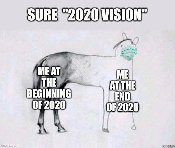 So true though | SURE  "2020 VISION"; ME AT THE BEGINNING OF 2020; ME AT THE END OF 2020 | image tagged in horse drawing | made w/ Imgflip meme maker