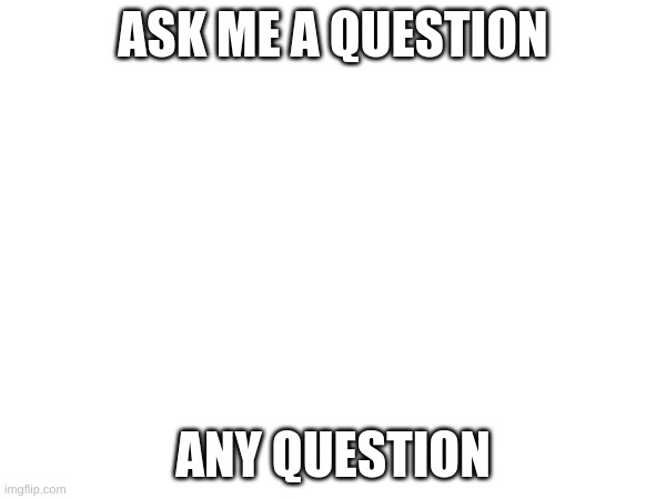 Any questions? | ASK ME A QUESTION; ANY QUESTION | image tagged in e | made w/ Imgflip meme maker