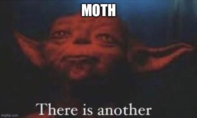 yoda there is another | MOTH | image tagged in yoda there is another | made w/ Imgflip meme maker