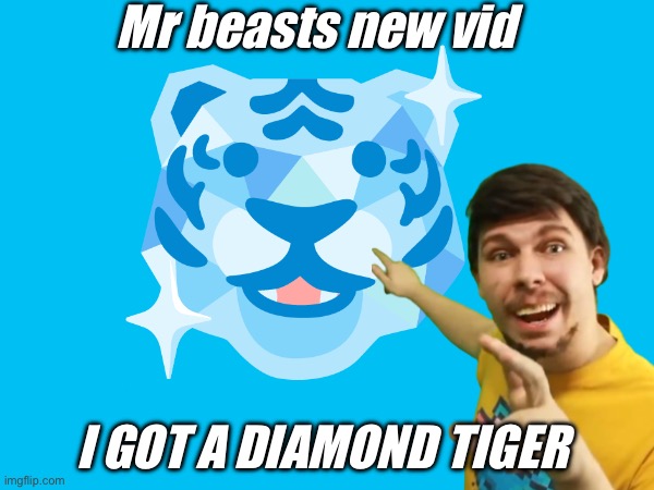 Mr beasts new vid; I GOT A DIAMOND TIGER | made w/ Imgflip meme maker