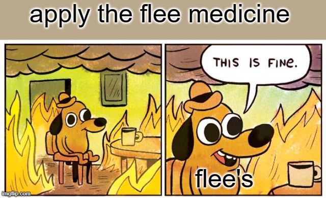 This Is Fine | apply the flee medicine; flee's | image tagged in memes,this is fine | made w/ Imgflip meme maker