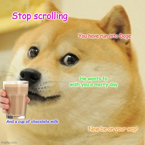 Nice Doge | Stop scrolling; You have run into Doge; He wants to wish you a merry day; And a cup of chocolate milk; Now be on your way! | image tagged in memes,doge | made w/ Imgflip meme maker