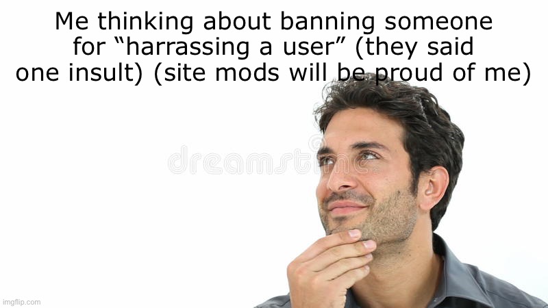 Me thinking about banning someone for “harrassing a user” (they said one insult) (site mods will be proud of me) | made w/ Imgflip meme maker