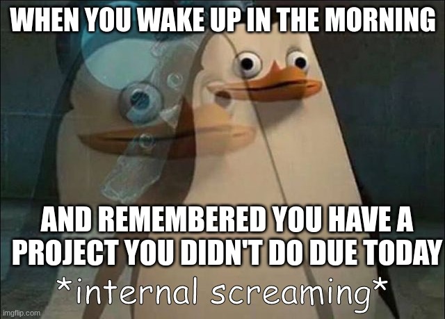 repost if you've had to rush an assignment because you forgot to do it | WHEN YOU WAKE UP IN THE MORNING; AND REMEMBERED YOU HAVE A PROJECT YOU DIDN'T DO DUE TODAY | image tagged in private internal screaming | made w/ Imgflip meme maker