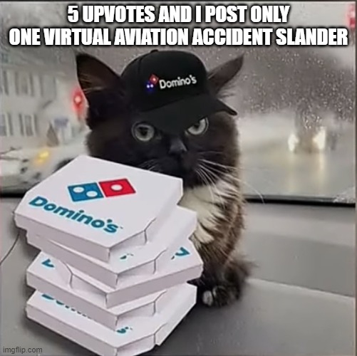 Dominos Cat | 5 UPVOTES AND I POST ONLY ONE VIRTUAL AVIATION ACCIDENT SLANDER | image tagged in dominos cat | made w/ Imgflip meme maker